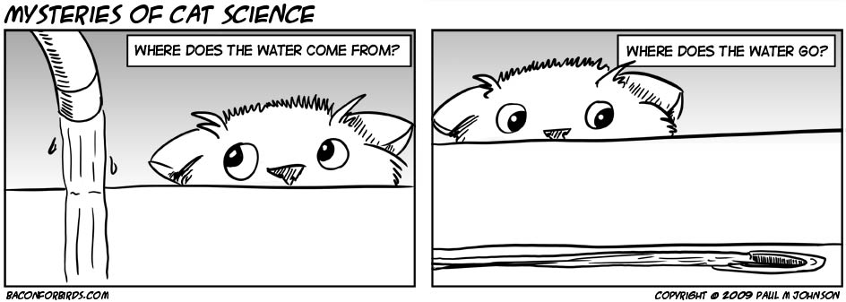04/16/2009