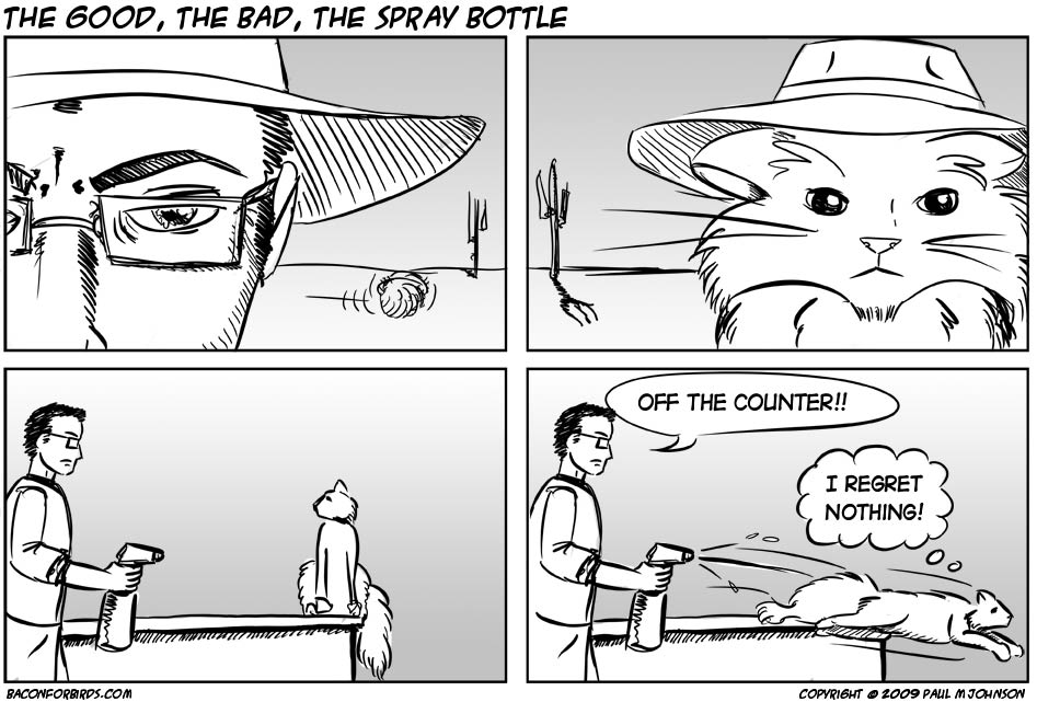 04/21/2009