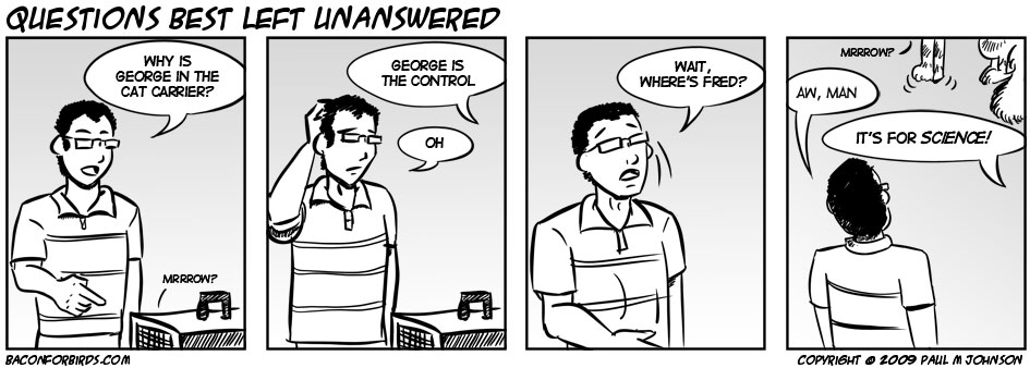 06/11/2009