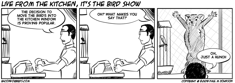 The Bird Show