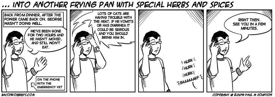 … into another frying pan with special herbs and spices