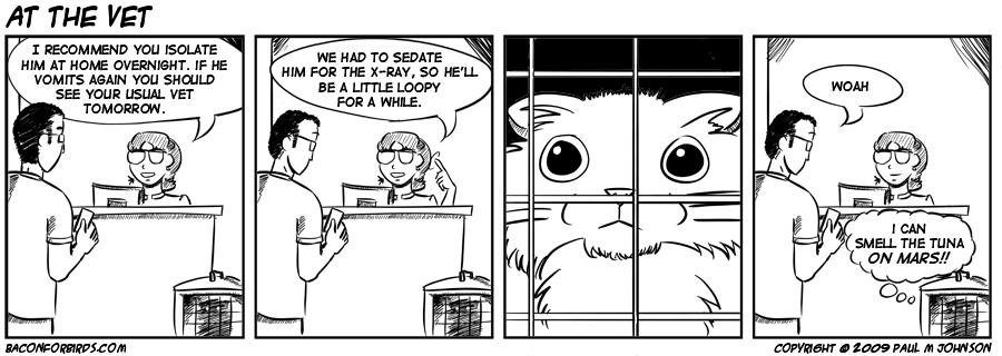 At the Vet